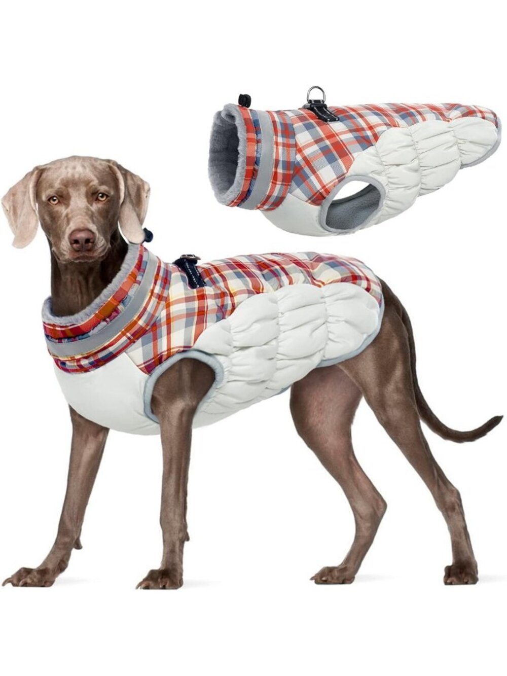 Warm Dog Jacket for Large Dogs with Built-in Harness - Cozy & Stylish Pet